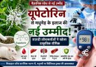यूपेटोरिन से मधुमेह के इलाज की नई उम्मीद: सऊदी शोधकर्ताओं ने खोजा प्राकृतिक यौगिक