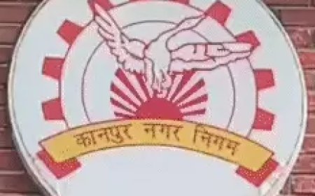 टेंडर घोटाले की जांच के बीच ठेकेदारों पर दबाव का आरोप, नगर निगम में फिर गरमाया सिंडिकेट का मामला