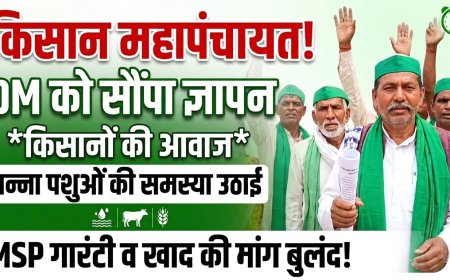 कानपुर: किसानों ने समस्याओं को लेकर जिलाधिकारी को सौंपा ज्ञापन, एमएसपी गारंटी और अन्ना पशुओं से निजात की मांग