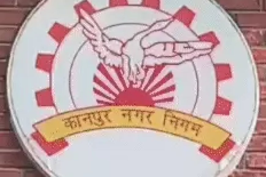टेंडर घोटाले की जांच के बीच ठेकेदारों पर दबाव का आरोप, नगर निगम में फिर गरमाया सिंडिकेट का मामला