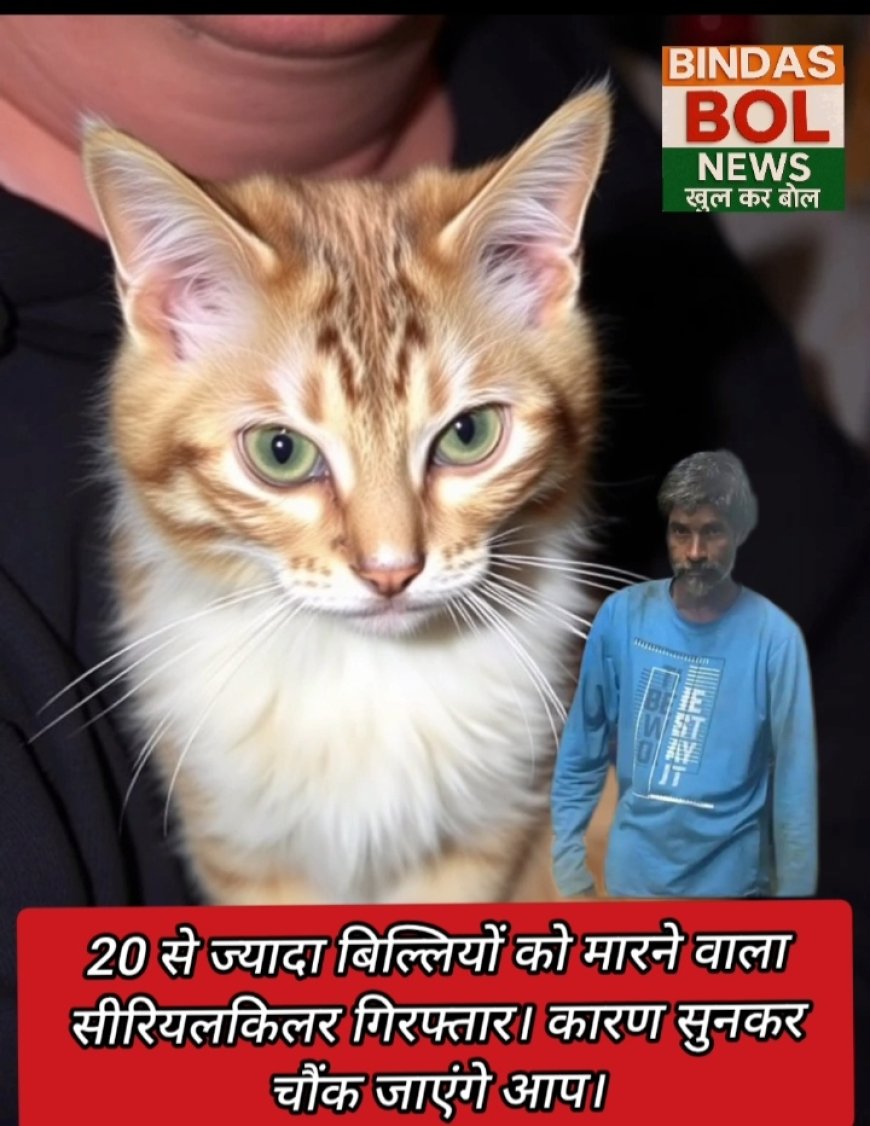 20 से ज्यादा बिल्लियों को मारने वाला सीरियलकिलर गिरफ्तार। कारण सुनकर चौंक जाएंगे आप!