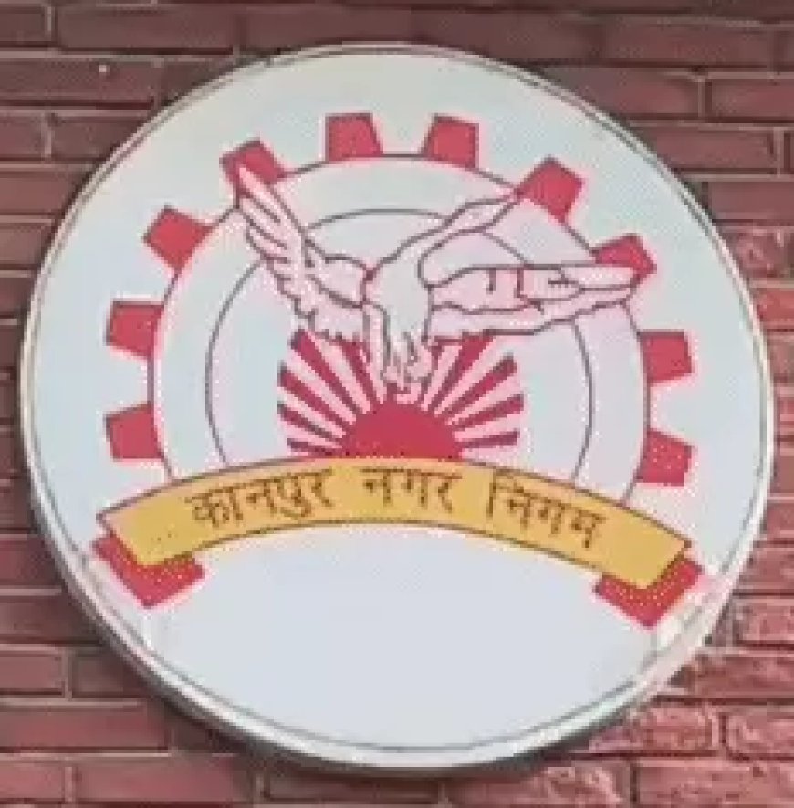 टेंडर घोटाले की जांच के बीच ठेकेदारों पर दबाव का आरोप, नगर निगम में फिर गरमाया सिंडिकेट का मामला