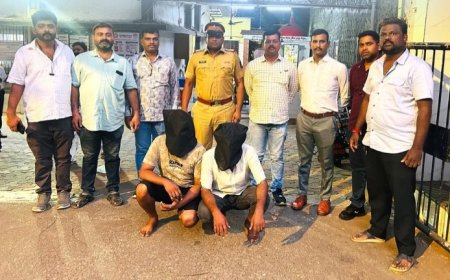 66 लाख से ज्यादा रुपए के हाइड्रो गांजा नशिले पदार्थ के साथ दो आरोपी को एमआईडीसी पुलिस ने किया गिरफ्तार।